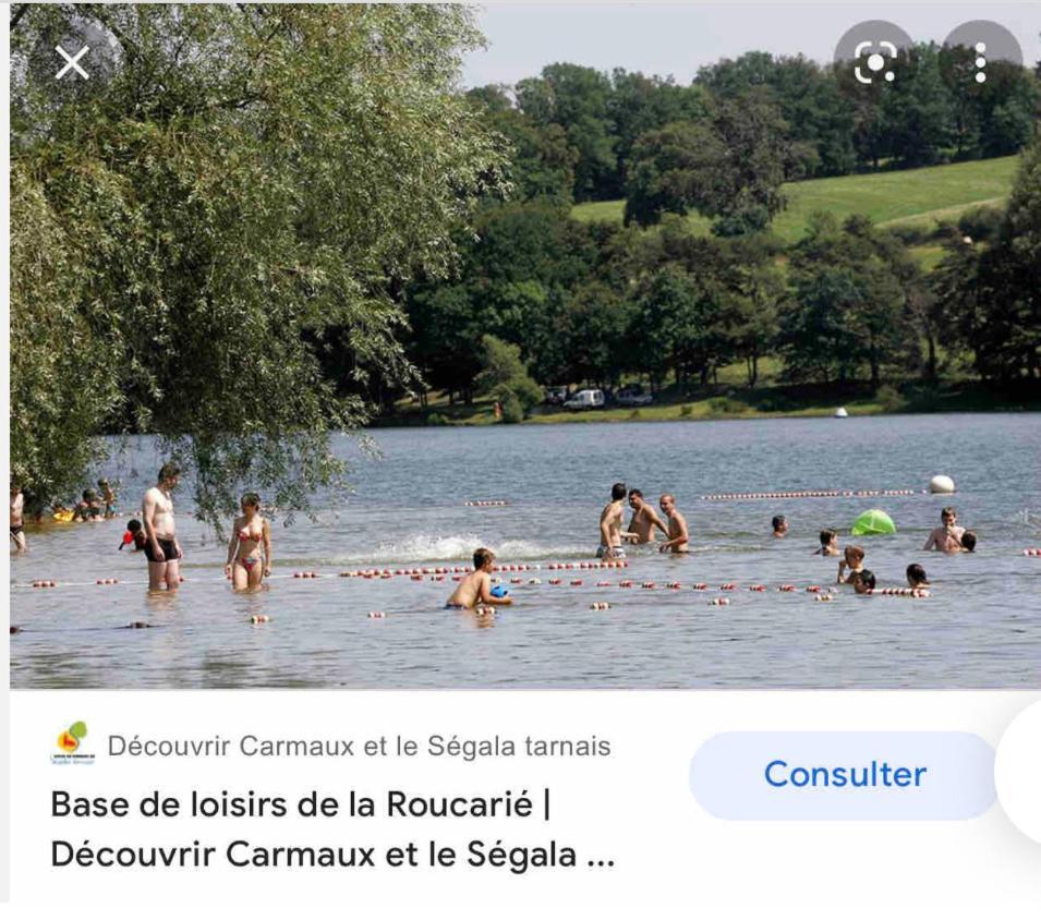 Le Gite De Las Peyros Mirandol-Bourgnounac Екстериор снимка